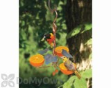 Songbird Essentials Copper Triple Fruit Oriole Feeder with Ivy (SEHHORTF)