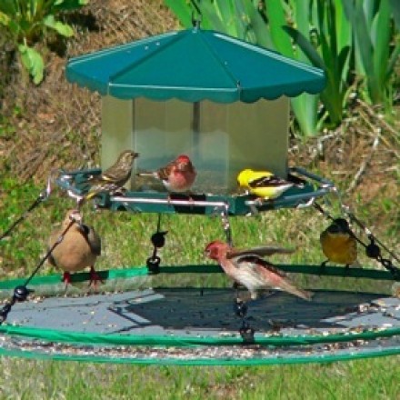 bird feeder spill tray