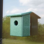 Songbird Essentials Recycled Plastic Window Nest View Bird House (SERUB78162)