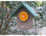 Songbird Essentials Hunter Driftwood Fruit Bird Feeder (SERUBFR100HD)
