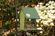 Songbird Essentials Green Hopper Bird Feeder 4 qts. (SERUBHF500)