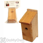 Songbird Essentials Bluebird House Kit (SESC00605)