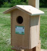 Songbird Essentials Screech Owl Bird House (SESC1035C)