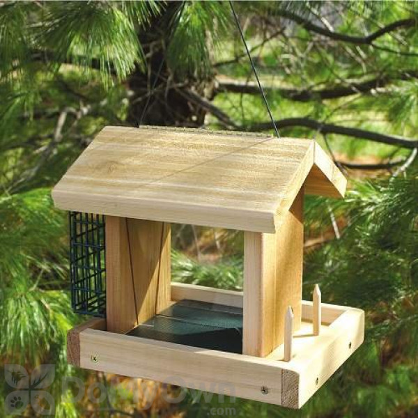 Songbird Essentials Seed, Suet and Fruit Bird Feeder (SESC6005C)