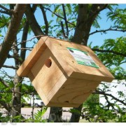 Songbird Essentials Mini Wren Bird House (SESCS3003)