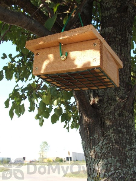 Songbird Essentials Cedar Upside Down Suet Box Sescs406