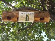 Songbird Essentials Upside Down Suet Log Bird Feeder (SESCS407)