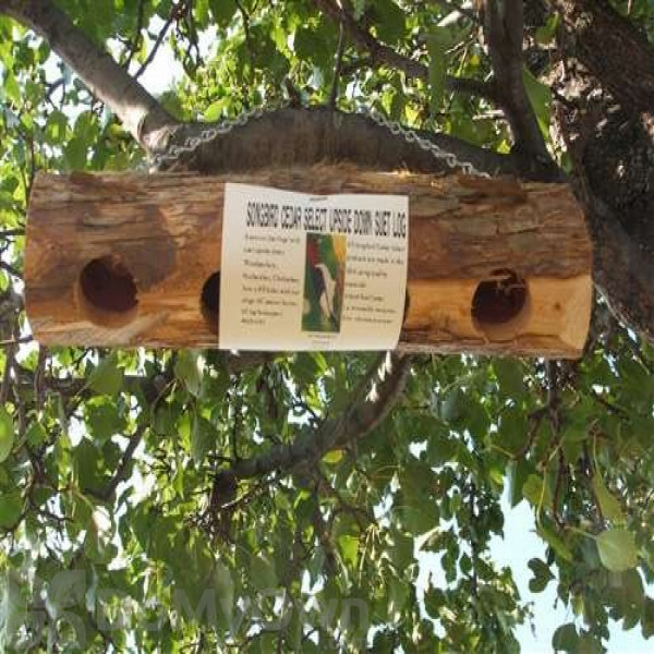 Songbird Essentials Upside Down Suet Log Bird Feeder Sescs407