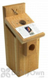 Songbird Essentials Western Bluebird Box Viewing Top (SEWBBSC1007C)