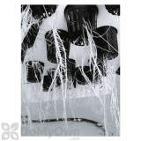 Alternate Image 2 Thumbnail