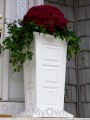 Savannah Planter