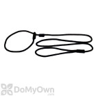 Soft Lines Small Dog Slip Leash - 1 / 4\