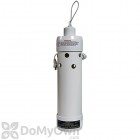 Strube Sticky Stink Bug Trap (Indoor)