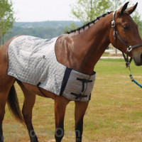 TechNiche HyperKewl Evaporative Cooling Horse Blanket - Silver 