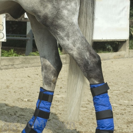 TechNiche HyperKewl Evaporative Cooling Horse Leg Wraps - Blue