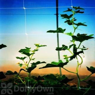 image of Tenax Hortonova Trellis Net FA