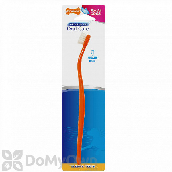 Nylabone toothbrush clearance