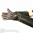 TGT - Top Grain Talon Animal Handling Gloves