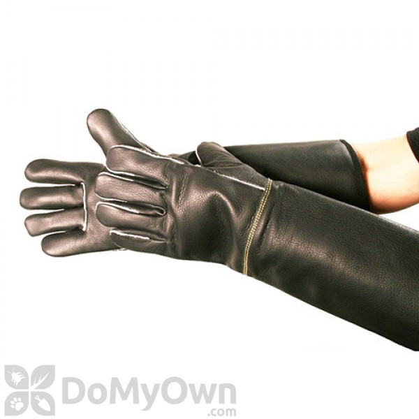 TGT - Top Grain Talon Animal Handling Gloves