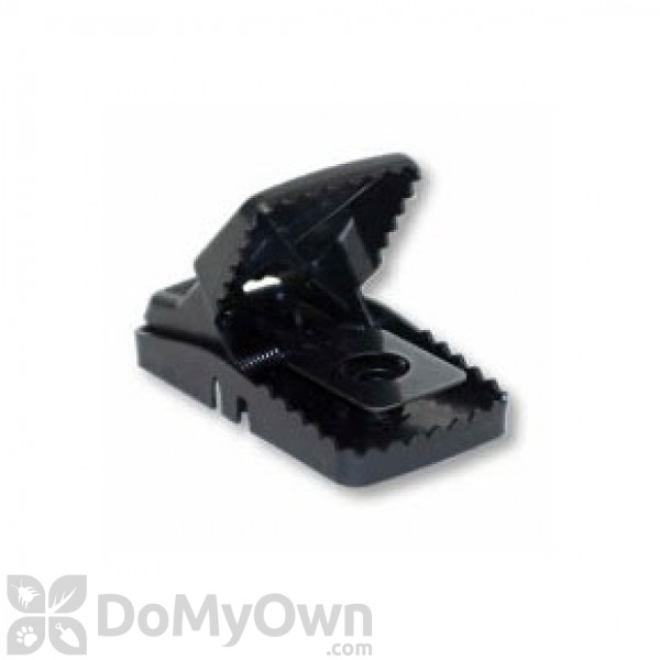 Trapper T-Rex Rat Trap - CASE (12 traps)