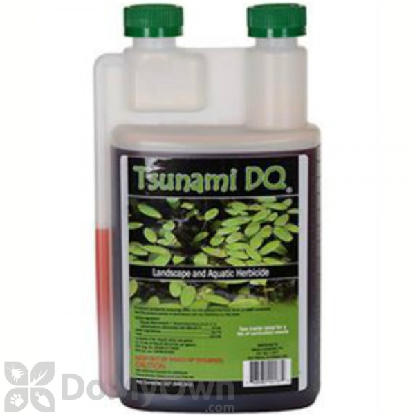 Tsunami DQ