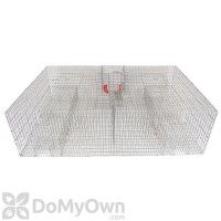 Repeating Sparrow Trap 