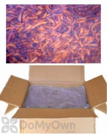 Unipeck of America Bulk Dried Mealworms (UPBULK1)