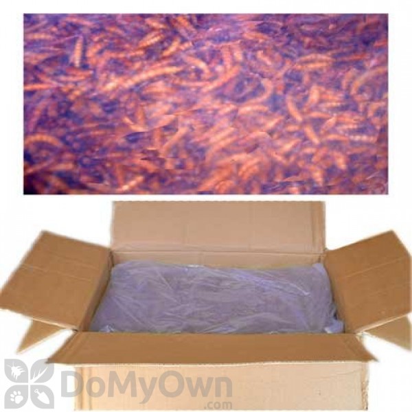 Unipeck of America Bulk Dried Mealworms (UPBULK1)