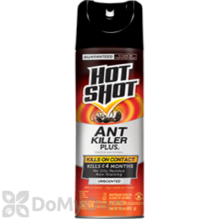 Hot Shot Ant Killer Plus