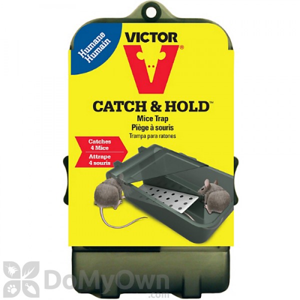 Catchmaster 612 Multi-Catch Mouse Trap - How To Pest 