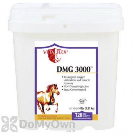 Vita Flex DMG 3000 Concentrate