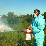 Alternate Image 3 Thumbnail