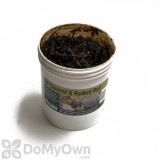 Alternate Image 1 Thumbnail