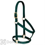 Weaver Leather Basic Non - Adjustable Halter 1 in. for Small Horse or Weanling Draft - Hunter Green