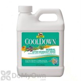 Absorbine CoolDown After - Workout Rinse for Horses