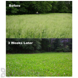 Alternate Image 1 Thumbnail