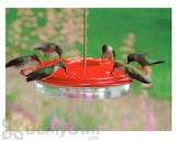 Woodlink Audubon Classic Hummingbird Feeder 16 oz. (NAH1)