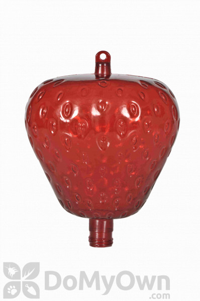 Woodstream Hummingbird Feeder Strawberry Bottle Replacement 48 Oz