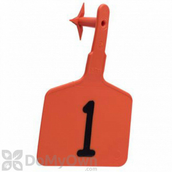 Y - Tex LoneStar Large Tags Numbered 1 to 25