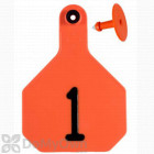 Y - Tex Orange All American 4 - Star Combo Large Tags Numbered