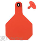 Y - Tex All American 4 - Star Combo Large Blank Tags (25 tags)