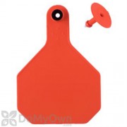 Y - Tex All American 4 - Star Combo Large Blank Tags (25 tags)