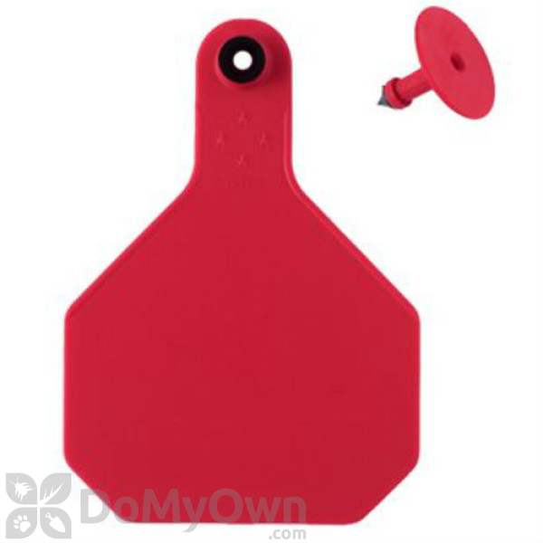 Y - Tex All American 4 - Star Combo Large Blank Tags (25 tags)