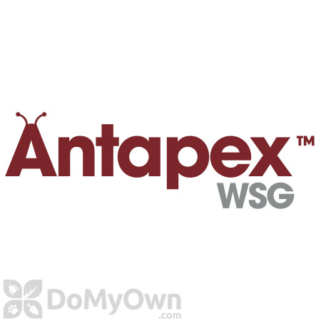 Antapex WSG Insecticide - CASE (4 x 200g Jars)