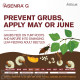 Asenra G Insecticide