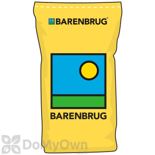 image of Barenbrug High Leaf Ratio (HLR) Orchardgrass Blend