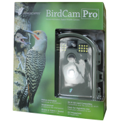 Bird Cameras