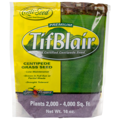 Centipede Grass Seed