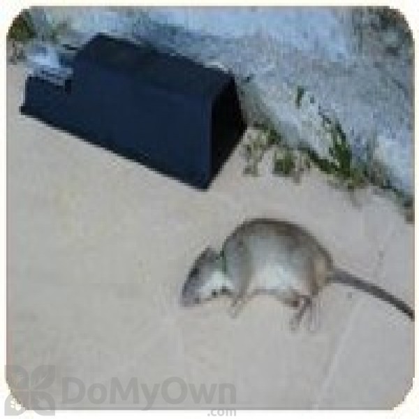 Amdro Mouse Trap