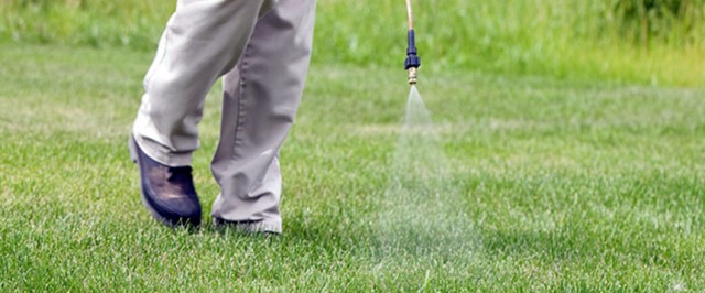 How to Get Rid of Crabgrass (Treat)